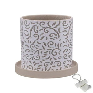 J-kitchensSelectԕrAؔfUC|bgAx[W13.5xH13cmIWi^Ot