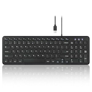 Perixx(�y���b�N�X) PERIBOARD-213C �L�[�{�[�h Type-C �T�C�����g�N���b�N�p���^�O���t�L�[�^�C�vC 39.8 x 16.5 x 3 cm �R���p�N�g�f�U�C���e���L�[�t�� - �u���b�N - �p��z��L�[�{�[�h
