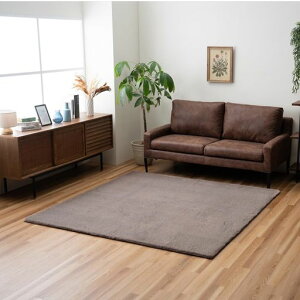 CPqROJ[ybg}bgzbgJ[ybgΉ{[`t@[ZsAuE200x300cm􂦂4p̂FӂӂI[o[bNHXbL㎿Ȃ߂炩c