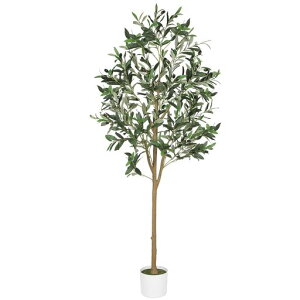 FEELEADtFCNI[u̖؁y152cmzlHϗtAtFCNO[G}LΉpϗtԃCeAO[ꔫtsvrO⌺փItBXɂœK