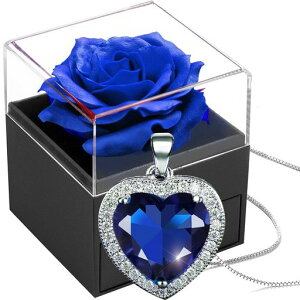 [Laluna]\[vt[MtglCԃov[g[P[Xt(nӃoMtg{bNX)lbNXfB[XlCVo[925AM[ΉVvn[g`y_c