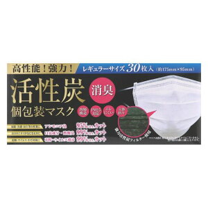 (PM2.5Ή)͊YtB^[Y}XN30