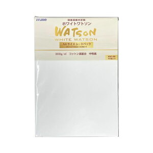 ~[YʎA4TCYV[gpbNzCgg\A4300g10WAP-HWA4