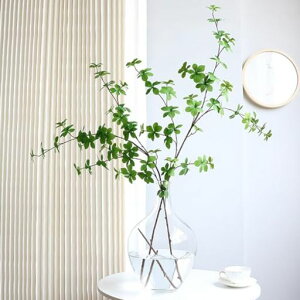 WillingYoutFCNO[hE_ccWAH120cmlHϗtA2{}tFCNO[֏X܃fBXvCԃCeA΃O[