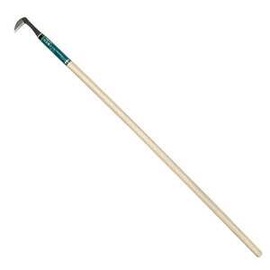 �L���{�V(Kinboshi)�����S�[���f���X�^�[G.S�Ԑ؊�(�|�t)�����O900mm��1515