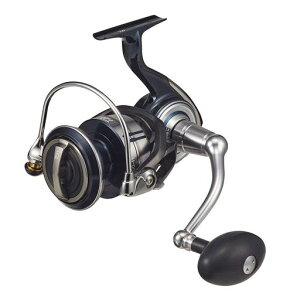 ダイワ(DAIWA)21セルテートSW10000-H