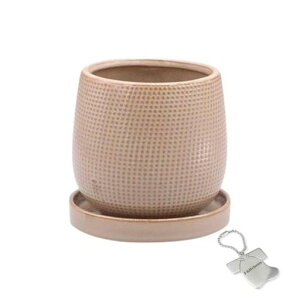 J-kitchensSelectuԕrAؔzڃfUC|bguES10.5xH10cmIWi^OtP-565034