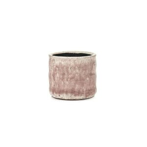 SERAX픫|bg11cmPotFlameSRoseCraqueleB0919013ȉԊ