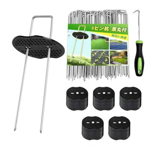 UsYhV[gŒs50{V[gs{E\EV[gەthV[gV[gslHŉsƒ؉|pi|(15cm)