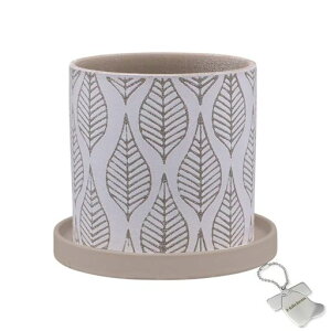 J-kitchensSelectԕrAؔ[tfUC|bgBx[W13.5xH13cmIWi^Ot