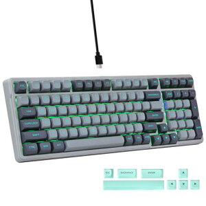 e���fZ-99�Q�[�~���O�L�[�{�[�h�⎲USB�L���ڑ��p��z��99�L�[�e���L�[�t���V���o�[�E�b�h�����J�j�J���L�[�{�[�h�N���[�~�[�ȑŌ����K�X�P�b�g�}�E���g�\��LED�P�F�o�b�N���C�g�t�\�t�c