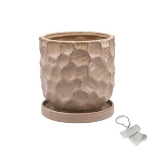 J-kitchensSelectԕrAؔ艟fUC|bgx[W12xH12.5cmIWi^Ot