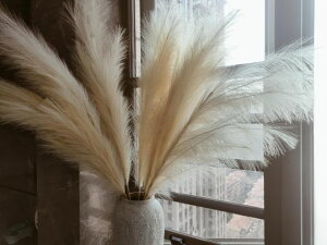 y8{ZbgzlHppXOX(tFCN)^110cmӂӂ{w~AkCeAEFfBOrOQItBXMtgꑕtHgX|bgp[eBc