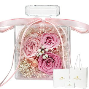 Fiorifiore2025VovU[uht[Mtgr^ANԊ͂ȂKNt[MtgFMtg{bNXMtgobObZ[WJ[h[YJ[htác