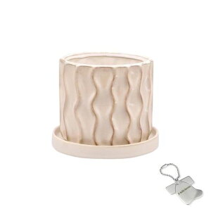 J-kitchensSelectԕrAؔgfUC|bgx[WS12.3xH10.5cmIWi^Ot