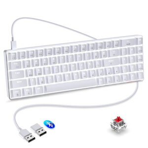 JjJL[{[hQ[~OL[{[hԎ2.4GHz/u[gD[X/LtypecUSB[dzbgXbvRGBobNCgtSL[hՓ4000mAh