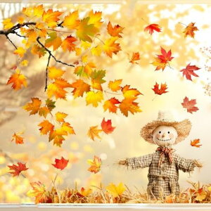 siawadekyӍՏÓdXebJ[XebJ[9ZbgHgttڂ藎tʈH̑KXÓdCV[tȒP͋CAbvCeAXc