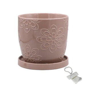 J-kitchensSelectԕrAؔkԖfUC|bgsNL15.5xH14.5cmIWi^Ot