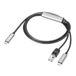 �T�����T�v���C�}���[�d�Ή�USBType-CLAN�ϊ��P�[�u��(Gigabit�Ή��EPD100W�E1m)KB-SL6CLANPD1BK