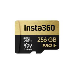 256GB�������[�J�[�h