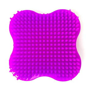 ���u���V�̊p�������̂��߂̖ь������ꂢ�ɑ|��(PURPLE)