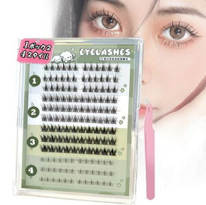 ܂4138ڒܕsvɂeʃi`|CgtBbgACbV܂GNXe܂̂svDSҒsZbg1t(̕ϐg)