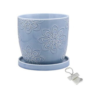 J-kitchensSelectԕrAؔkԖfUC|bgu[L15.5xH14.5cmIWi^Ot