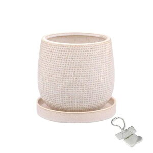 J-kitchensSelectԕrAؔzڃfUC|bgAC{[S10.5xH10cmIWi^Ot