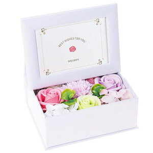 WEISHY̓̃v[g\[vt[ԃt[{bNXzCgf[ԂMtgav[gjƏj͂ȂԊҗjސEjÊjhV̓CeAc