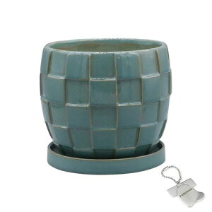 J-kitchensSelectԕrAؔ^CfUC|bgBO[15xH13cmIWi^Ot