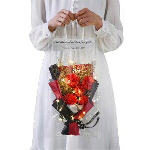 hCt[yoJ[l[VLEDCgtzԑԑԃv[gMtg蕨܂1(J[l[V())