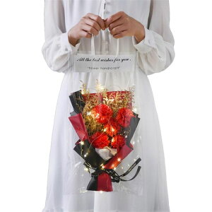 hCt[yoJ[l[VLEDCgtzԑԑԃv[gMtg蕨܂1(J[l[V())