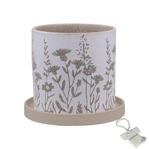 J-kitchensSelectԕrAؔԃfUC|bgCx[W13.5xH13cmIWi^Ot