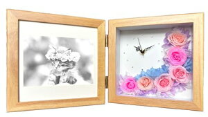 NefelibatavU[uht[ʐ^ĎvtHgt[jaސEjv[gMtgœK(Tt@CAEi`)