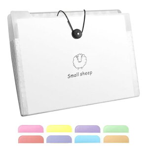 ドキュメントファイルA48仕切り2本セット蛇腹ファイルジャバラファイル書類収納ボックスクリアファイルケースアコーディオンファイル拡張ファイルフォルダーファイルドキュメントフ…