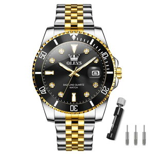 OLEVSYP]x[S[hVo[lChrvƂAiONI[crWlXĎvYubNXeXjprvtVv傫Րamc