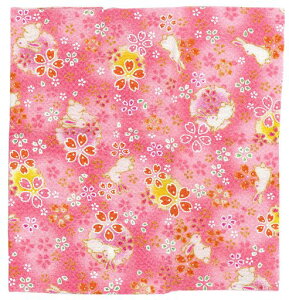 INAZUMA߂񕿕23cmx33cm炤1C142-FG|EnhChpi