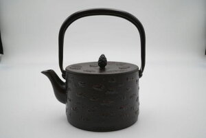 vgXSr琡^{암SIHΉΑΉiًƖp