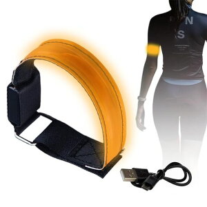 UrbanPulseLEDA[ohUSB[djOCgled˃A[ohhԕs/]/ނ/WMOp̈S(IW)