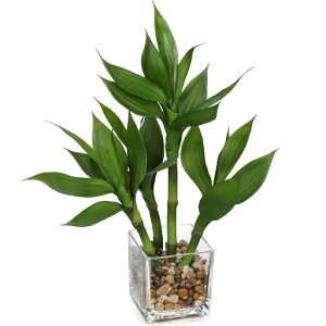 VillaComotFCNO[CeAlHϗtA~Iou[J^|x?|VzjJXjVNNX}XItBX