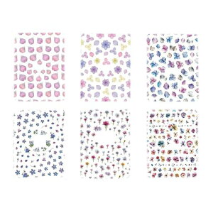 lCV[ԃlCV[z8ZbgČgDIYlCA[g]ʃV[ZtlC킢