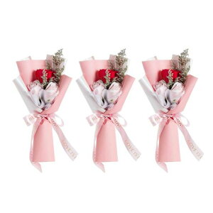 o3{ZbgOփ[Yԑ\[vt[ΌԌv`Mtg}`bNTvCYԏo^Cf[̓aސEMtgEGfBOƎwp[eB[c