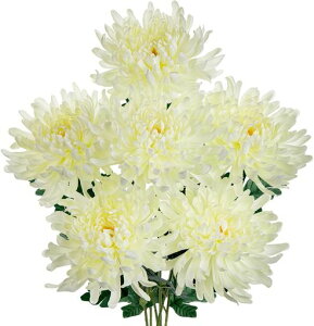 VillaComoLNeԏdˋeԂԌa15.2cmdp~ފ݂݌͂ȂԃA[gt[C(6e(N[))