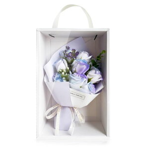 HANASPEAK\[vt[ԕ̓ƎhV̓o^Cf[Ԓat[Mtggʃo(Hope)