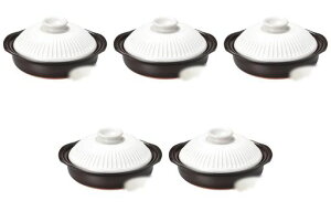 5Zbgeԕ6[21x19x11cm]|݌Ïēy݌ÏĒ(̂)Zgmz|(Setomonohonpo)