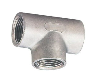 SANEI(TGC)zǐڎXeX`[YĂ10