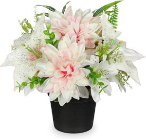 VillaComoԕԂdp~ފ25CMA[gt[͂ȂԃCeAA_ASO