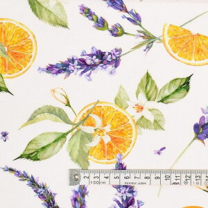 COLORFULTEXTILEMARKET\Cv@XIbNXn112cmx100cmD00H1710