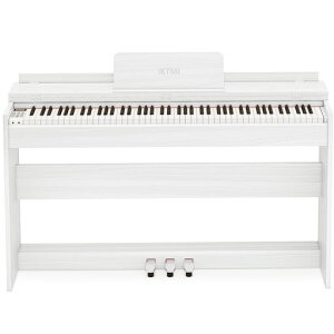 IKTMIdqsAm88Ճn}[ANVՖؐsAm883{y_tAbvCgsAmDigitalPianolCdqsAmMIDIΉlqS҂̗KzCg