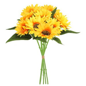 koundenekoЂ܂葢10{q}u[Pԉԑ͂ȂԃTt[Ă̑ajv[gJtFiXe[uZ^[s[XCeAʐ^Bepc